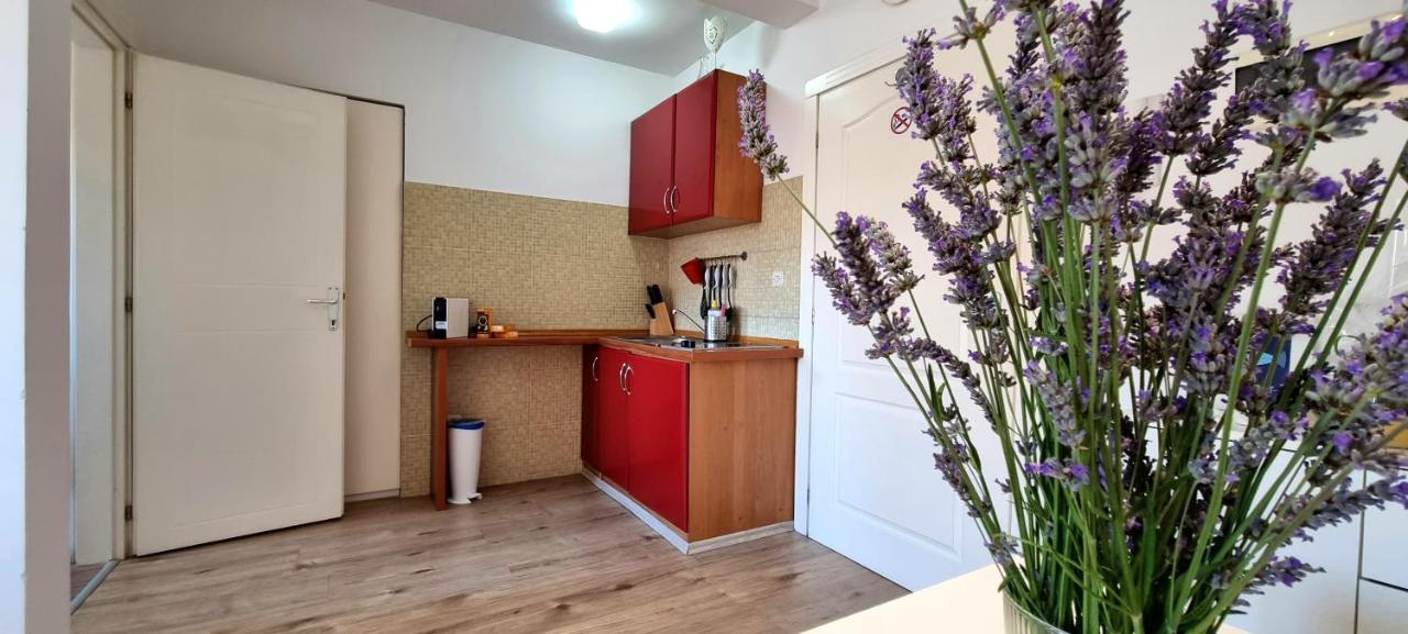 Tiny Studio Big Living Apartment Ровин Екстериор снимка