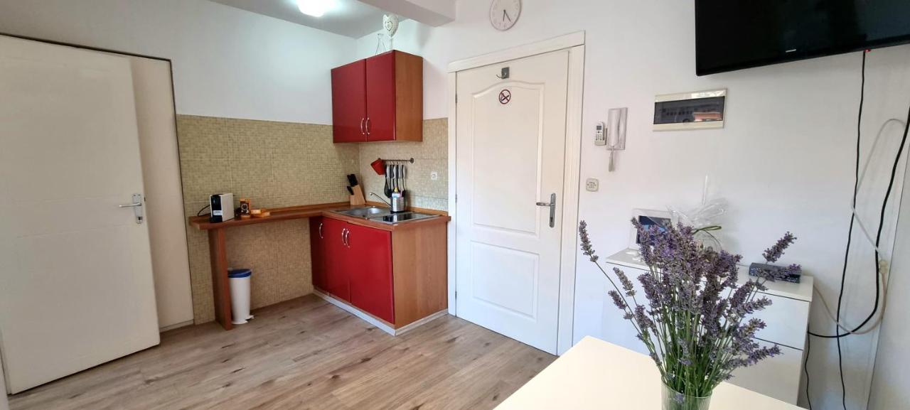 Tiny Studio Big Living Apartment Ровин Екстериор снимка