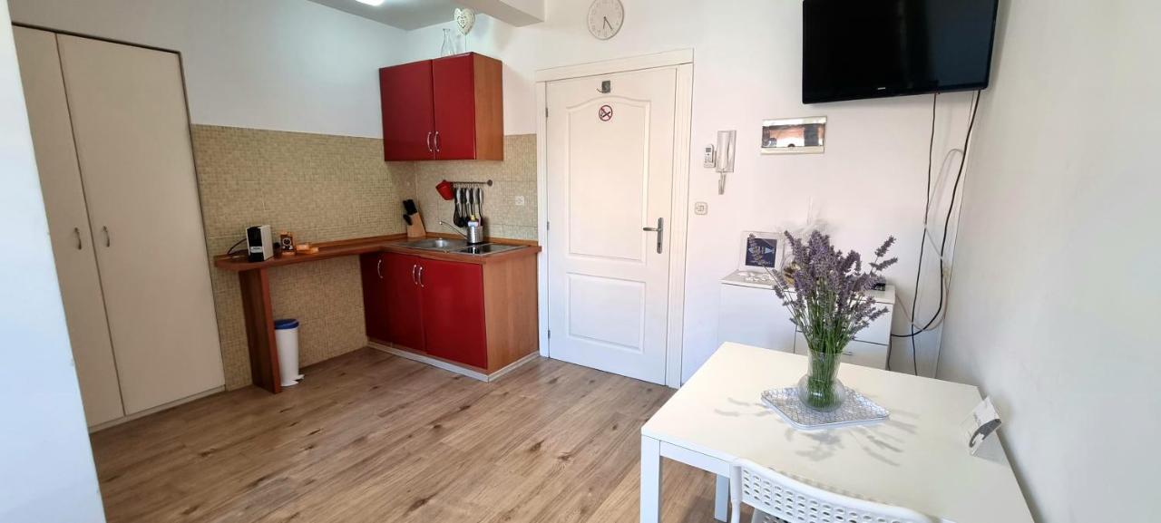 Tiny Studio Big Living Apartment Ровин Екстериор снимка