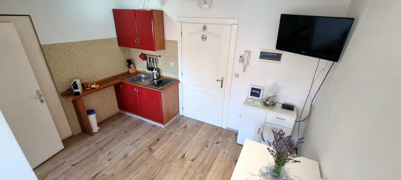 Tiny Studio Big Living Apartment Ровин Екстериор снимка